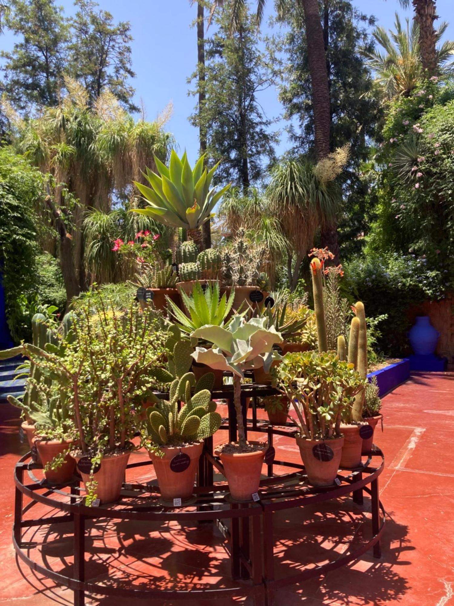 Marrakech Gueliz Apartment